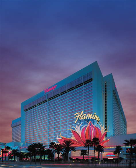 flamingo las vegas wiki|As the 75th anniversary of the Flamingo Hotel .